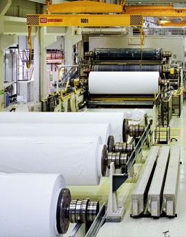 Paper & Pulp